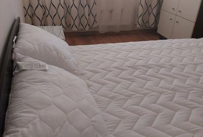 Apartament cu 2 camere decomandat în Arcești - 4