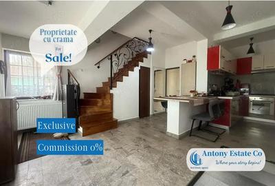 Proprietate cu crama, Ultracentral, casa de vanzare, Oradea, Bihor - 9