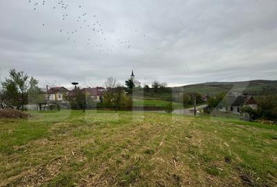 Casa individuala, 3300 mp teren, zona Sintereag - 20