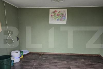 Teren de 1996 mp, în Viile Satu Mare - 5