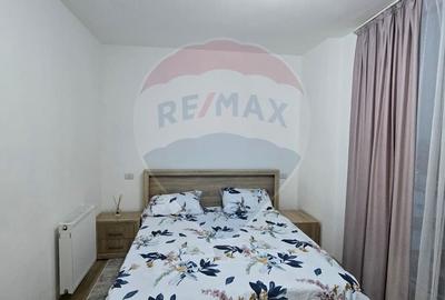 Apartament cu 2 camere de inchiriat Vivalia  zona Aurel Vlaicu - 19