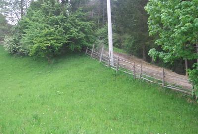 Teren de 4080 mp, în Valea Doftanei - 11