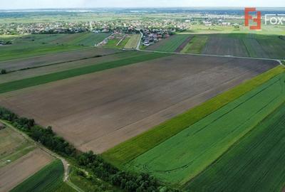 COMISION 0% Teren intravilan 40.600 mp cu front de 84,5 ml, zona Bucovat COMISION 0% Teren intravilan 40.600 mp cu front de 84,5 ml, zona Bucovat - 8