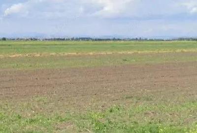 Teren extravilan Cocorastii Colt ; ID: R2710069 - 6