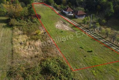 Teren de 2250 mp, în Ioanicești - 4