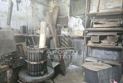 Casa cu teren in localitatea Simand - 15