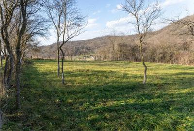 Casă cu 4 camere cu Teren 2074 Mp în Bozed - 6