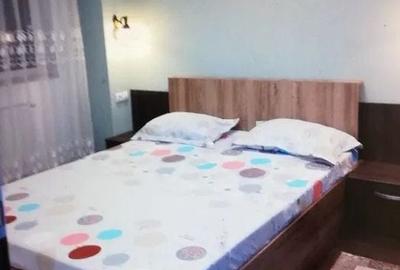 Apartament modern cu 2 camere de inchiriat, CENTRALA PROPRIE, Gorjului - 3