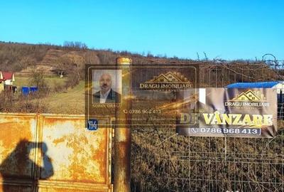 Teren în Homocea - 6