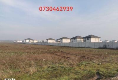 Teren de 501 mp, în Berceni