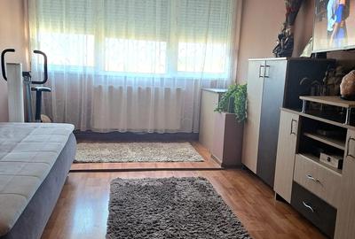 Apartament 2 camere , 49 m , central, Baia Sprie , renovat , optiuni : mobilat sau nemobilat - 3