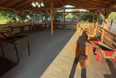 Casă cu 4 camere în Ceahlău - 3