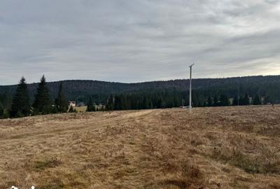 Teren de 1002 mp, în Beliș - 1