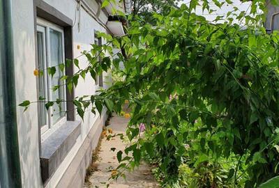 Vind casa in Bals jud.Olt - 4