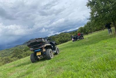 Teren Construcții extravilan de 10000 mp, în Borlova - 1