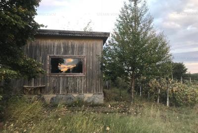 Teren Construcții intravilan de 500 mp, în Central - 10