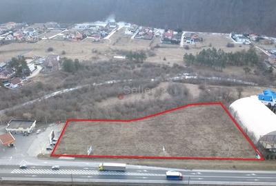 Teren Construcții intravilan de 8444 mp, în Timișu de Jos - 2