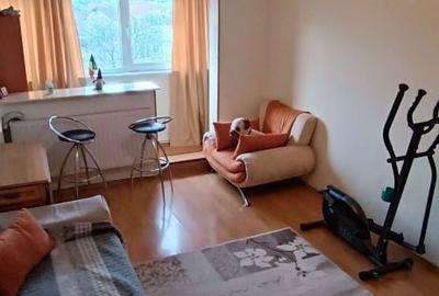 Apartament cu 2 camere decomandat în Sârbi - 2