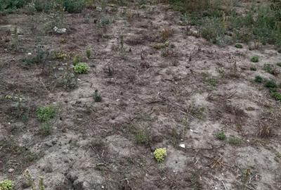 Teren de 2000 mp, în Sânandrei - 2