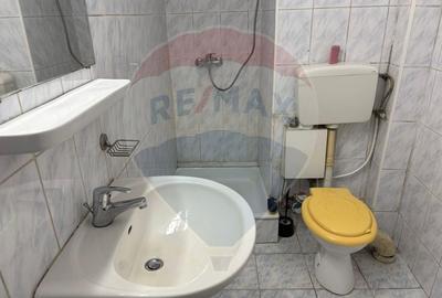 Apartament cu 2 camere semidecomandat în Moșilor - 18