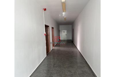 Spațiu comercial, de 760 mp, în Ștefăneștii de Jos - 5