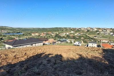 Teren de 1600 mp, în Săldăbagiu de Munte - 1