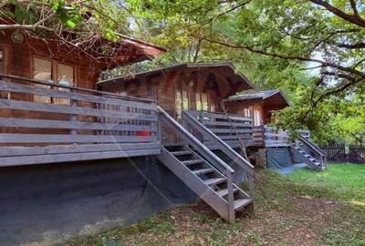 Ansamblu de 7 Căsuțe de Vacanță, Ocna Șugatag - 3