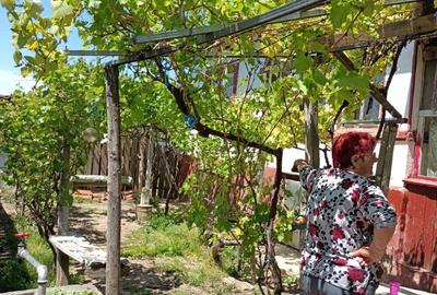 Casă cu 5 camere în Oltina - 9