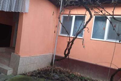 Casă cu 4 camere în Urviș de Beiuș - 1