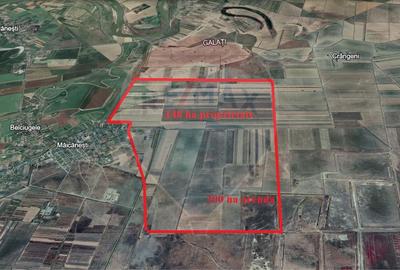 Teren agricol extravilan de 1486280 mp, în Măicănești - 4