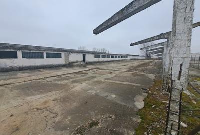 Spațiu industrial, 1800 mp în Central - 5