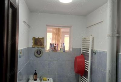 Apartament 1 Camera Calea Caransebesului - 3