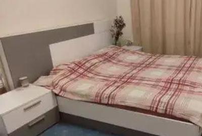 Garsonieră în Aradului