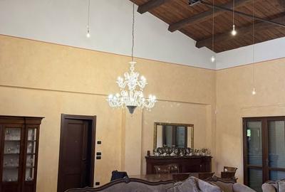 Casă cu 7 camere cu Teren 6700 Mp în Cernica - 6