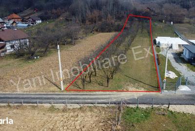 Teren de 2172 mp, în Albești - 5
