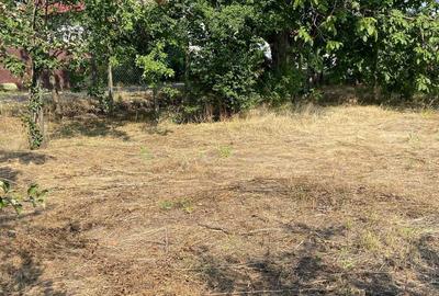 Spațiu comercial, în Petrești - 5