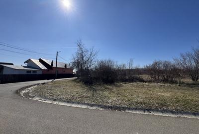 Teren Construcții de 9685 mp, în Păulești - 4