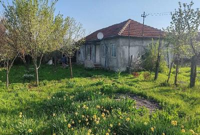 Casă cu Teren 5000 Mp în Unguriu - 5