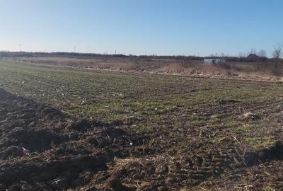 Teren Construcții intravilan de 830 mp, în Mogoșești - 4