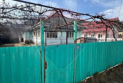 Casa de vanzare in BACAU Sat. Lespezi, 85mp - 2