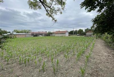 ?nzare Casa batraneasca 1700mp teren La 50km de Bucuresti Cosereni Ialomita - 5