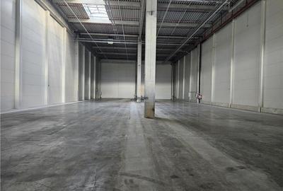 Spatiu Industrial - 7500 mp - Logistica - Productie - Depozitare - Distributie - 11