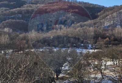 Teren 5,054mp intravilan - Strada Dealul Malului / Ramnicu Valcea - 6