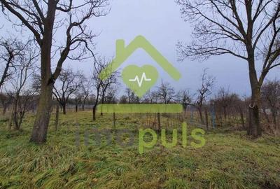 ? Teren intravilan de 1.159 mp in Dragsina. (27,61 Euro/mp)? - 8