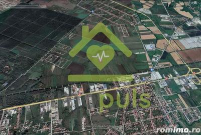 ? Teren extravilan in Ghiroda, 100 euro/1 mp.? - 3