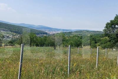 Teren extravilan de 1000 mp, situat pe strada Ghinzii - 1