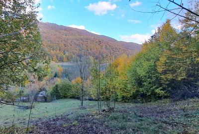 Vand teren cu vedere la lac, Valea Doftanei,Strada Lacului - 1