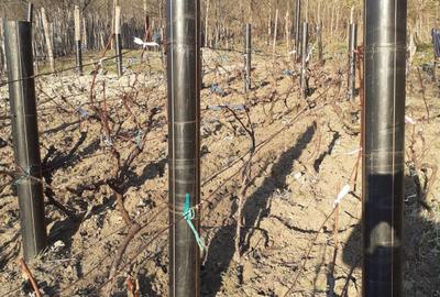 Casă cu 3 camere în Făget - 5