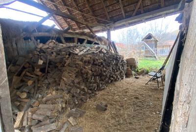 Casa de vanzare sat Buia, Sibiu PROPRIETAR - 17
