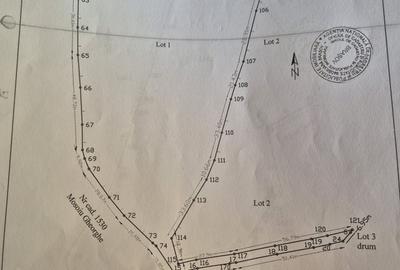 Teren intravilan  Pestera Brasov, 11908 mp - 17